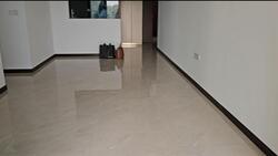 Normanton Park (D5), Apartment #488192951